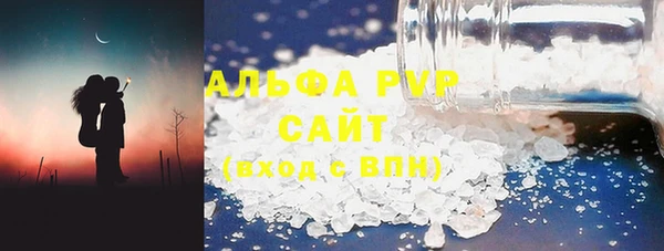 стаф Вязьма