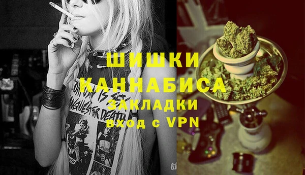 стаф Вязьма