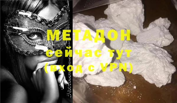 стаф Вязьма