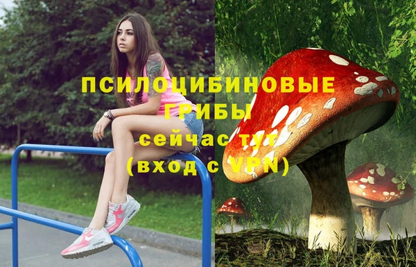 mdpv Волосово