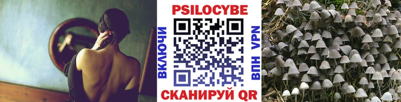 Галлюциногенные грибы Psilocybe  Луза 